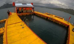 Rumah Apung Bangkokan Watulimo Suguhkan Keindahan Wisata Pantai 